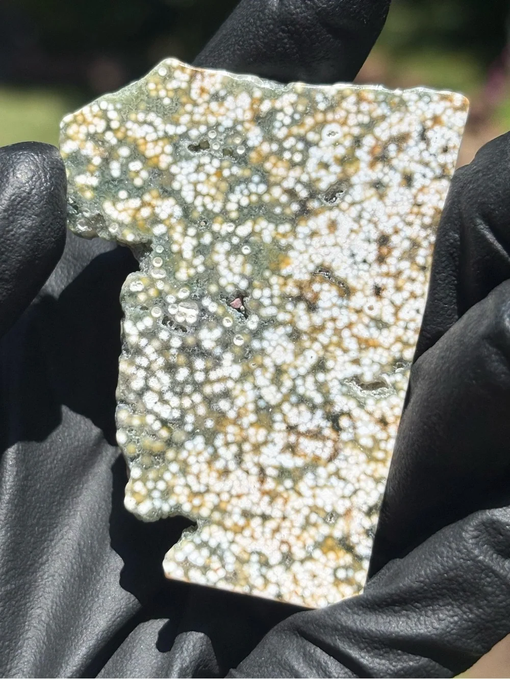 Ocean Jasper Crystal Slab - Orbicular Jasper - Polished Sea Jasper